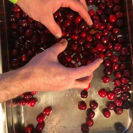 Affittacamere Essl In