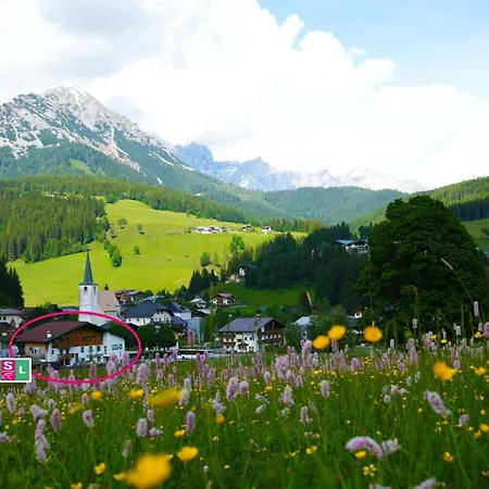 Essl In Affittacamere