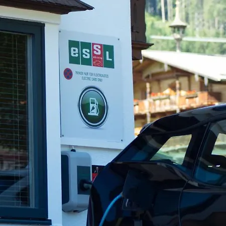 Essl In Gasthof Filzmoos